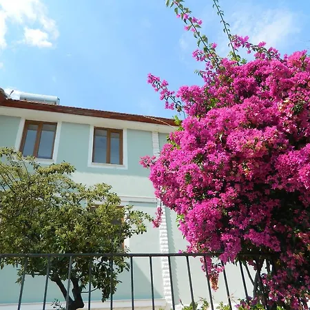 Guest house Pine Forest