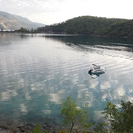 Vendégház Pine Forest